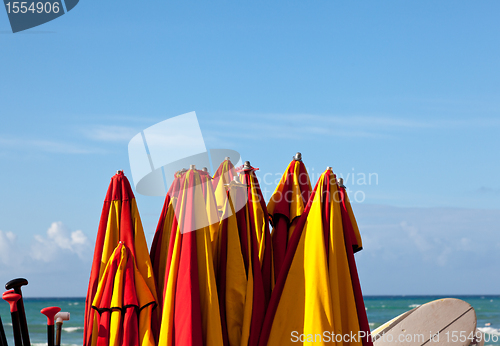 Image of Tied up beach umbrellas by seaside