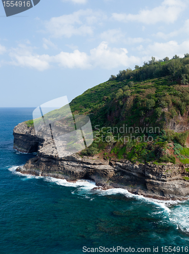 Image of Bird sanctuary at Kilauea