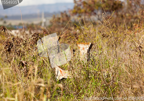 Image of Abandoned chinese graveyard in Kauai