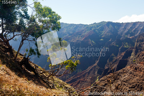 Image of Waimea Canyon on Kauai