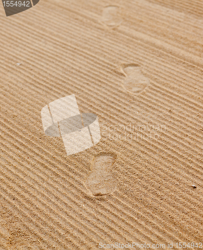 Image of Footsteps in rippled sand