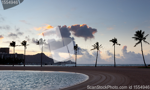 Image of Palm trees at dawn in Waikiki