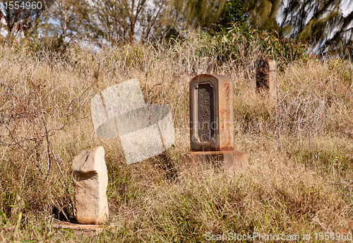 Image of Abandoned chinese graveyard in Kauai