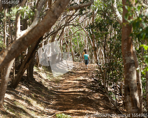 Image of Women hiking through woods in Kauai