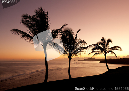 Image of Sunrise in Kauai