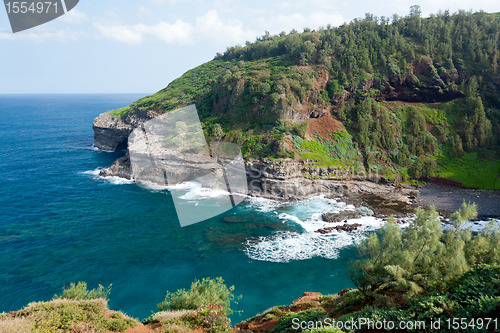 Image of Bird sanctuary at Kilauea