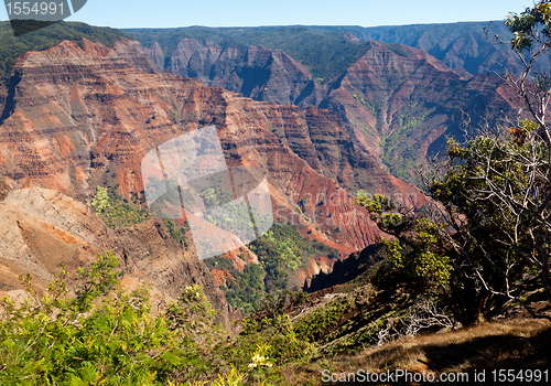 Image of Waimea Canyon on Kauai