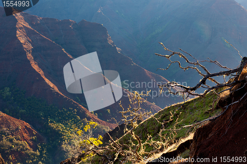 Image of Waimea Canyon on Kauai