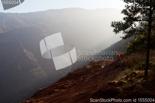 Image of Waimea Canyon on Kauai