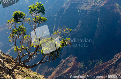 Image of Waimea Canyon on Kauai