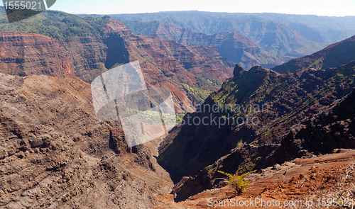 Image of Waimea Canyon on Kauai