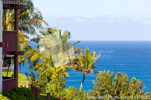 Image of Condominiums in Kauai