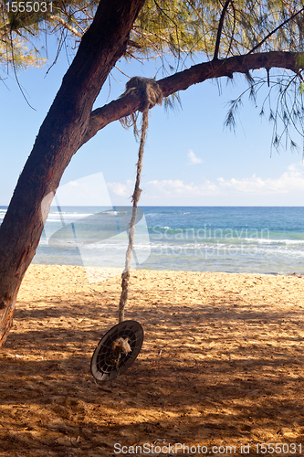 Image of Rope swing on beach by ocean