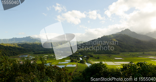 Image of Panorama of Hanalei Valley in Kauai