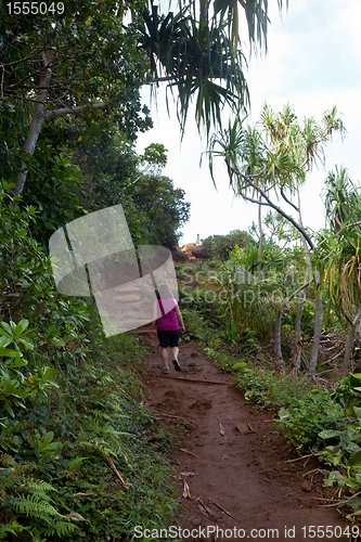 Image of Girl hiking Kalalau trail in Kauai