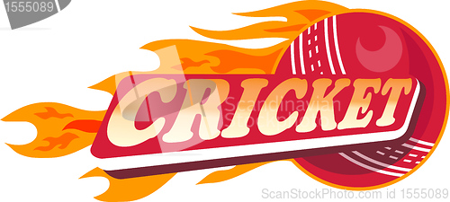 Image of cricket sports ball flames