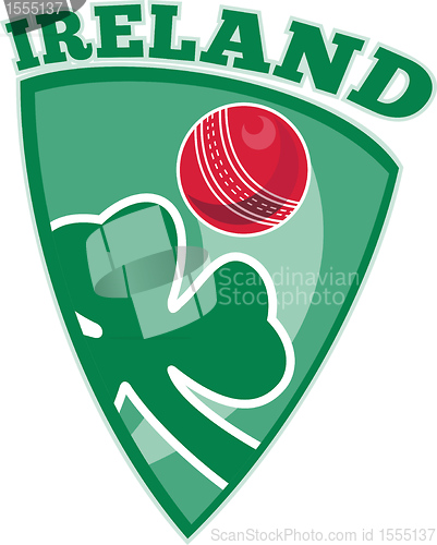 Image of cricket ireland