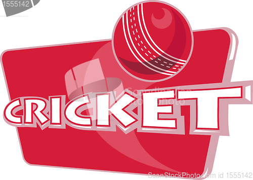 Image of cricket sports ball
