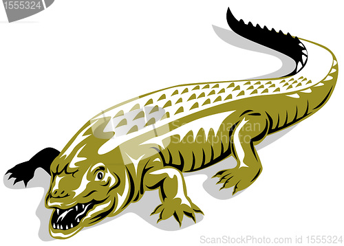 Image of alligator crocodile