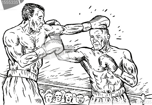 Image of boxer connecting a knockout punch sketch style