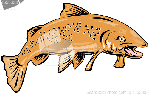 Image of trout fish jumping