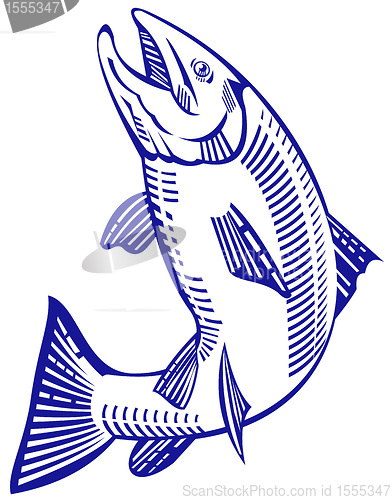 Image of trout fish jumping