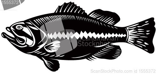 Image of black sea bass side