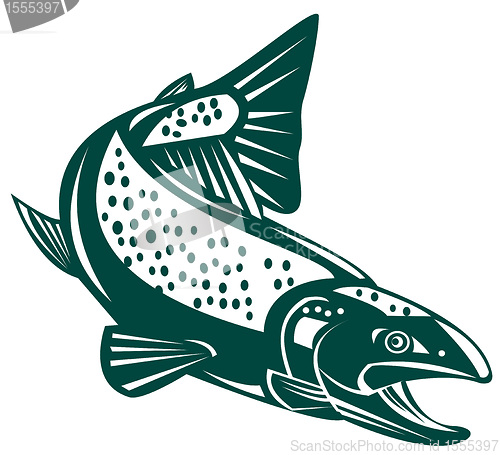 Image of trout fish jumping