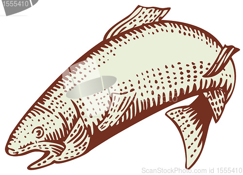 Image of trout fish jumping