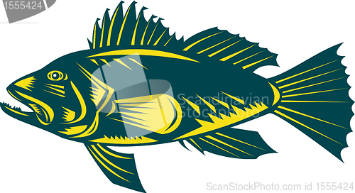 Image of black sea bass side