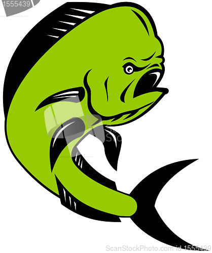 Image of dorado dolphin fish mahi-mahi jumping