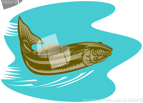 Image of trout fish jumping