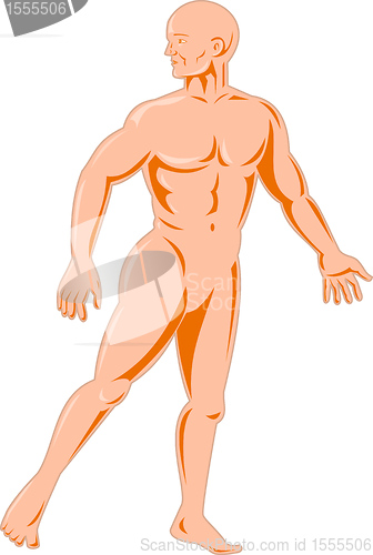 Image of male human anatomy standing