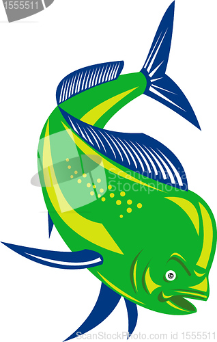 Image of dorado dolphin fish mahi-mahi jumping