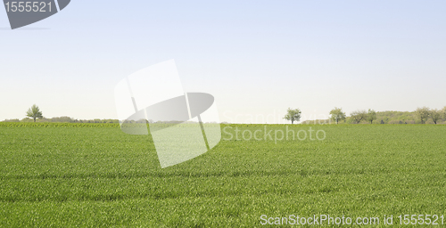 Image of idyllic landscape at spring time