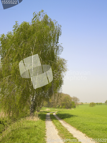 Image of idyllic landscape at spring time