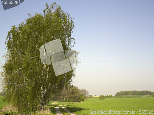 Image of idyllic landscape at spring time