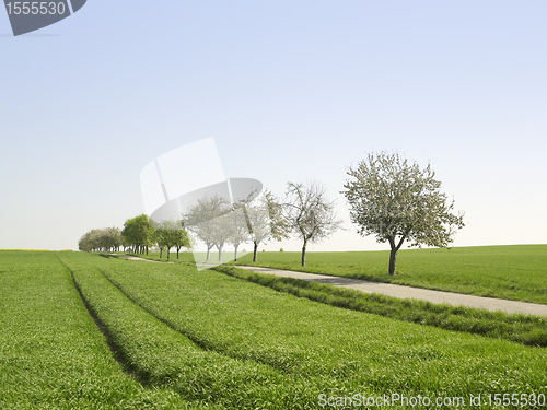 Image of idyllic landscape at spring time