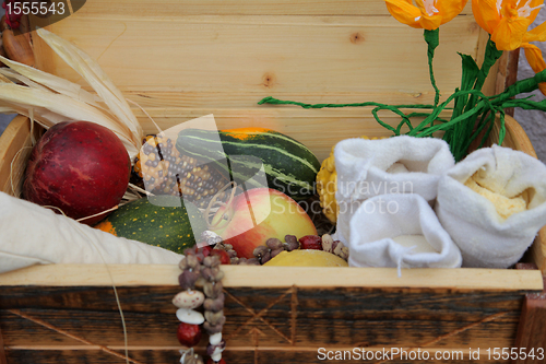 Image of Autumn Harvest