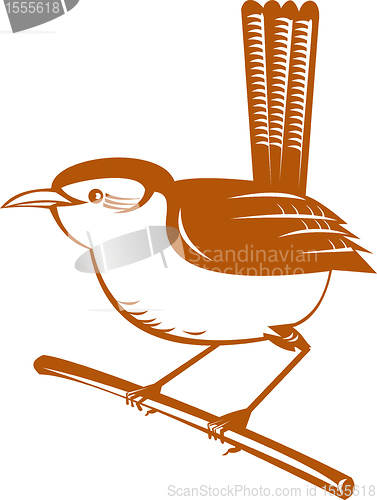 Image of wren bird perched on branch