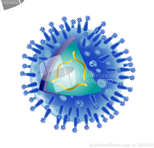 Image of flu virus structure