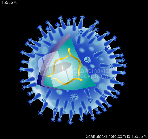 Image of flu virus structure