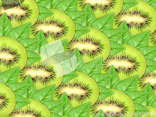 Image of Background of fresh kiwi slices and green leaf