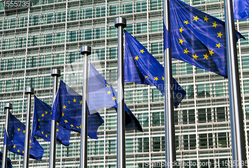 Image of European flags in Brussels