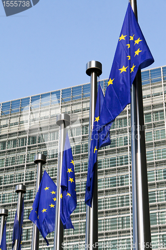 Image of European flags in Brussels