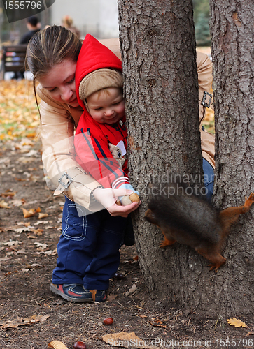 Image of Boy feeds a squirrel