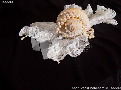 Image of Seashell Lace and Pearls