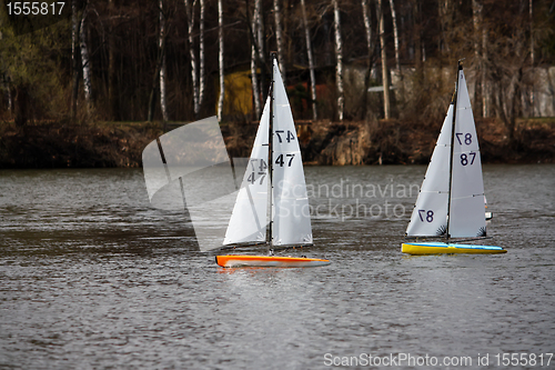 Image of Yacht regatta