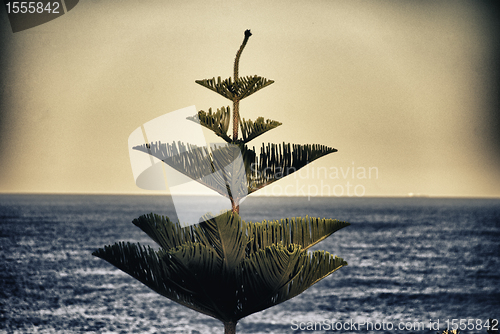 Image of Bondi Beach detail in Sydney