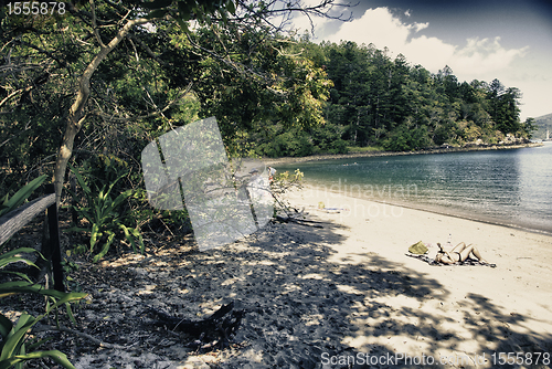 Image of Paradise of Whitsunday Islands National Park